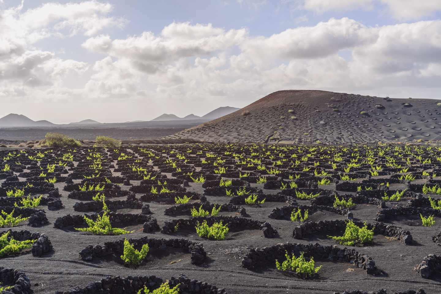 spanien-lanzarote-la-geria-weinberg-g-1419299741.jpg