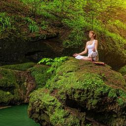 frau-yoga-wald-felsen-t-492398793.jpg