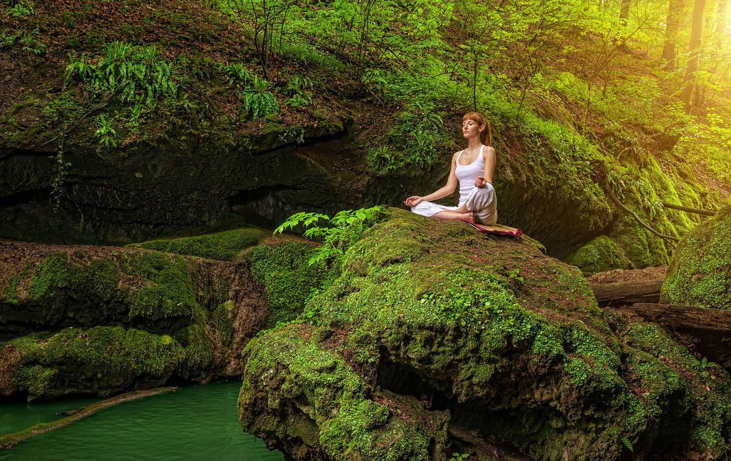 bltd0619e09c3e04ce2-frau-yoga-wald-felsen-t-492398793.jpg frau-yoga-wald-felsen-t-492398793.jpg