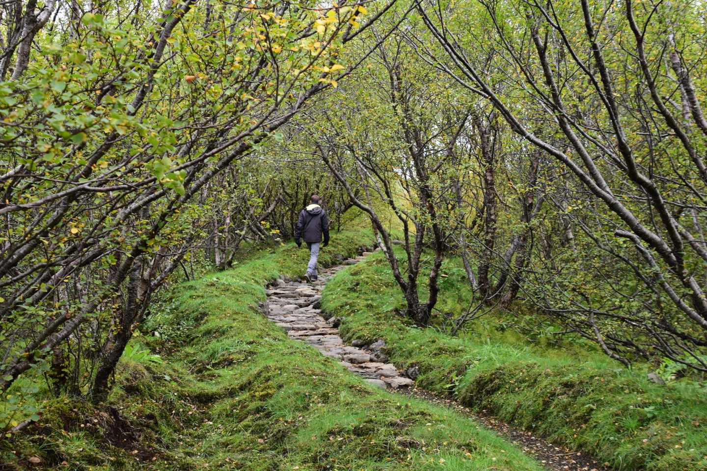 blt118744b23c587270-island-hochland-wanderweg-gjarfoss-i-lena-herrmann.JPG Wanderweg zum Gjarfoss Wasserfall