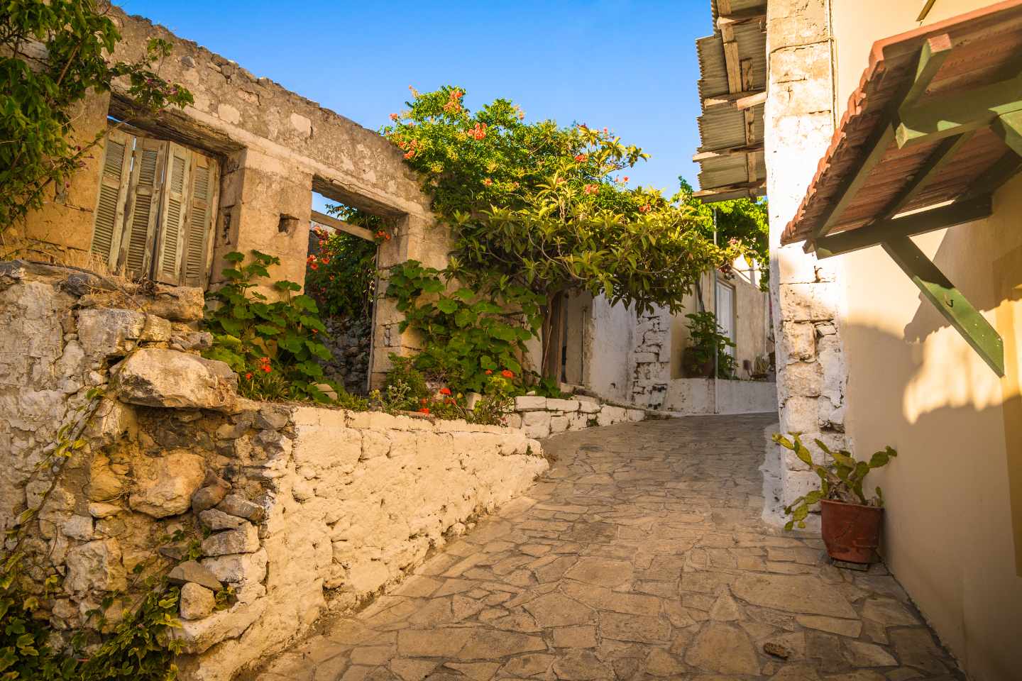 kreta-chania-alte-gebaeude-in-altstadt-g-513738518.jpg