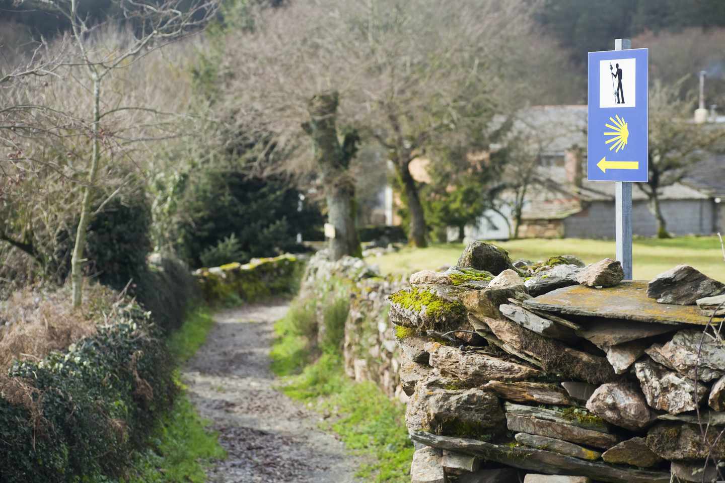 spanien-pilgerpfad-camino-de-santiago-winter-g-652785662.jpg