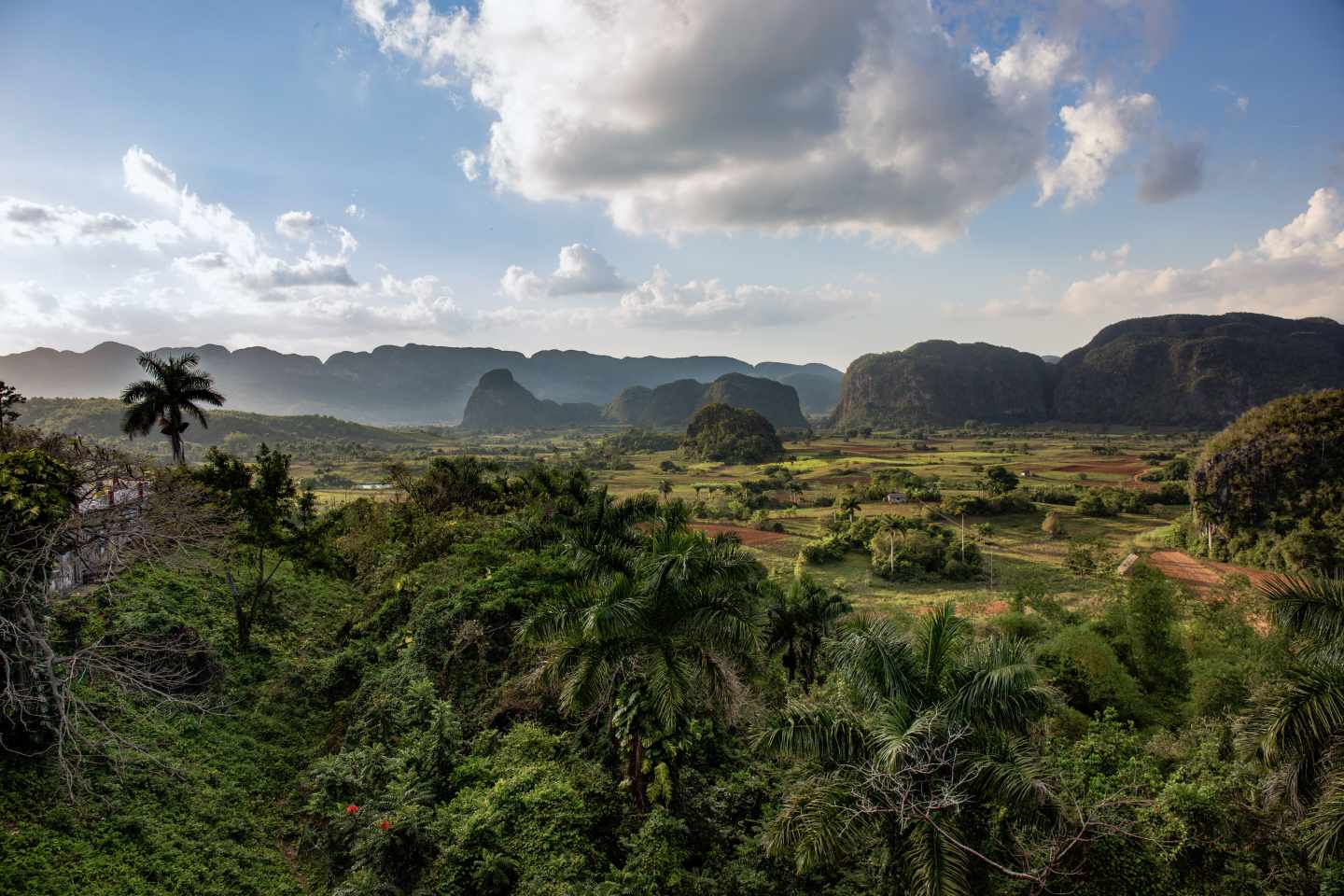 karibik-kuba-valle-de-vinales-g-1346516423.jpg