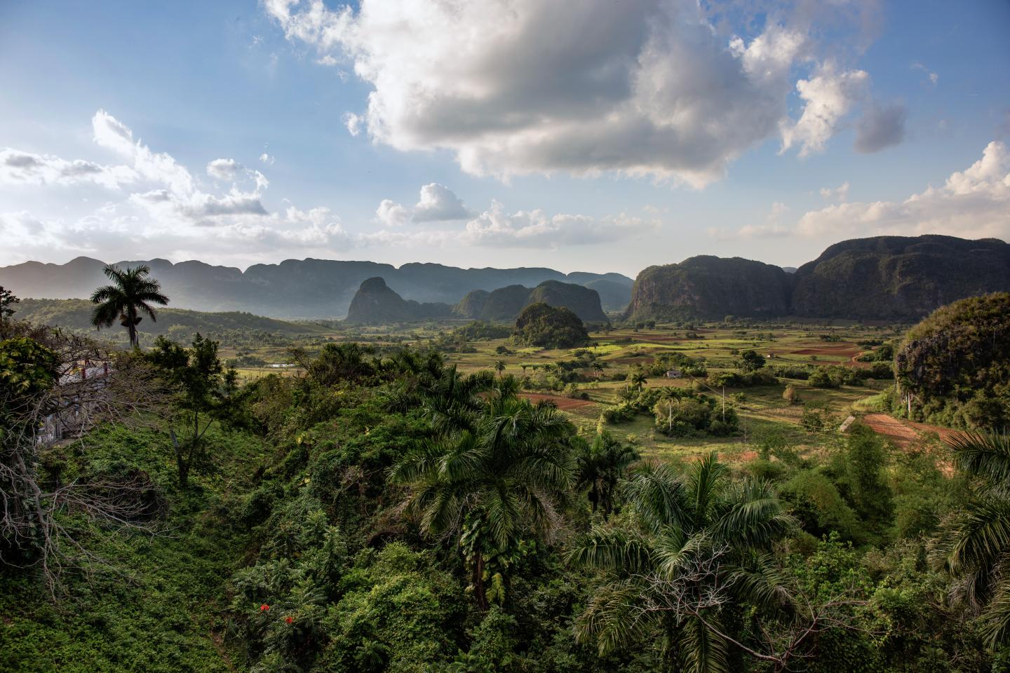 karibik-kuba-valle-de-vinales-g-1346516423.jpg