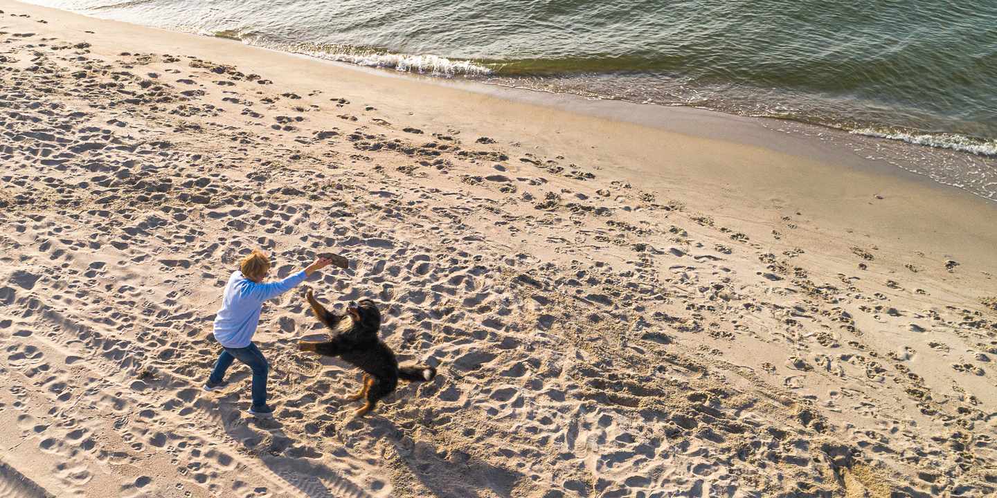 deutschland-ostsee-strand-frau-spielt-mit-hund-g-1180040698.jpg