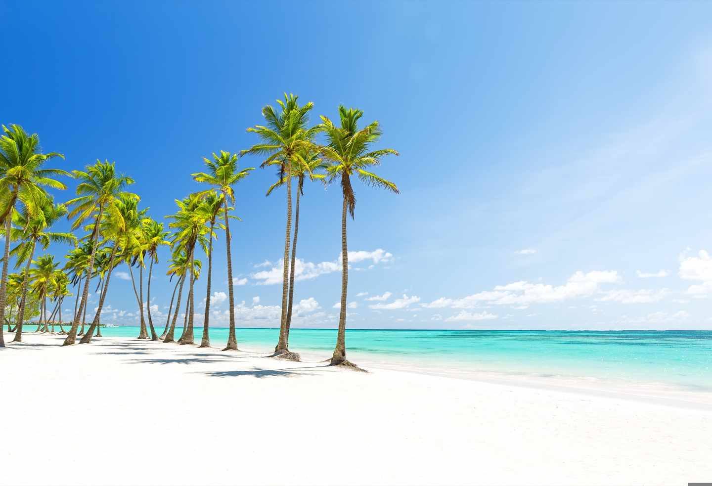 dominikanische-republik-punta-cana-g-1041914220.jpg
