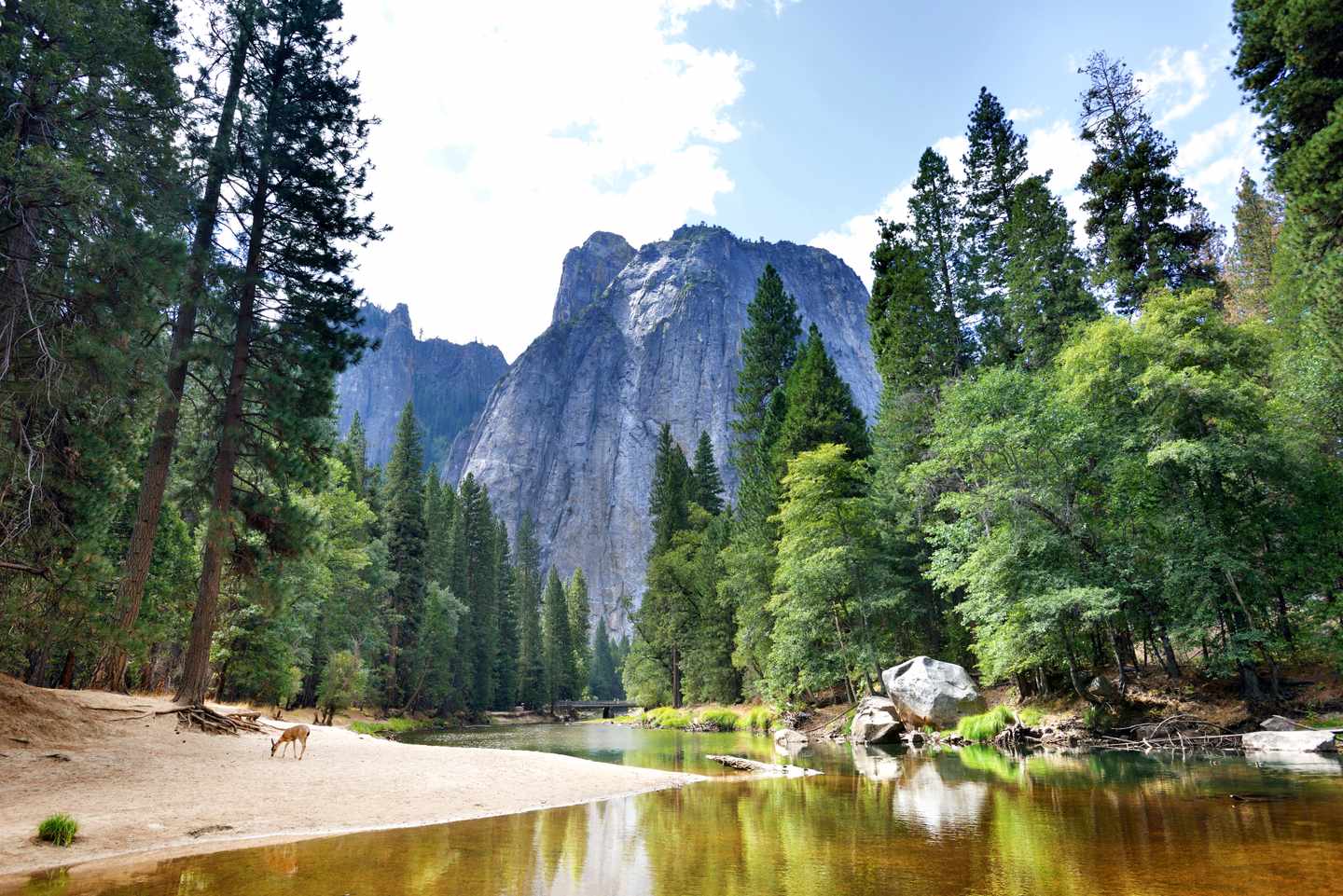 Yosemite-National-Park-g-509307146_msc_bearbeitet.jpg