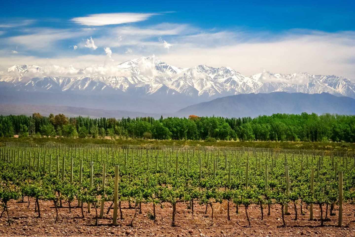 argentinien-mendoza-weinberge-g-693410412.jpg