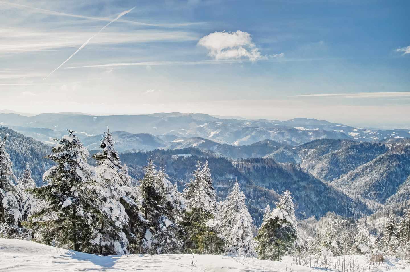 deutschland-wandern-im-schwarzwald-winterlandschaft-g-531178489.jpg