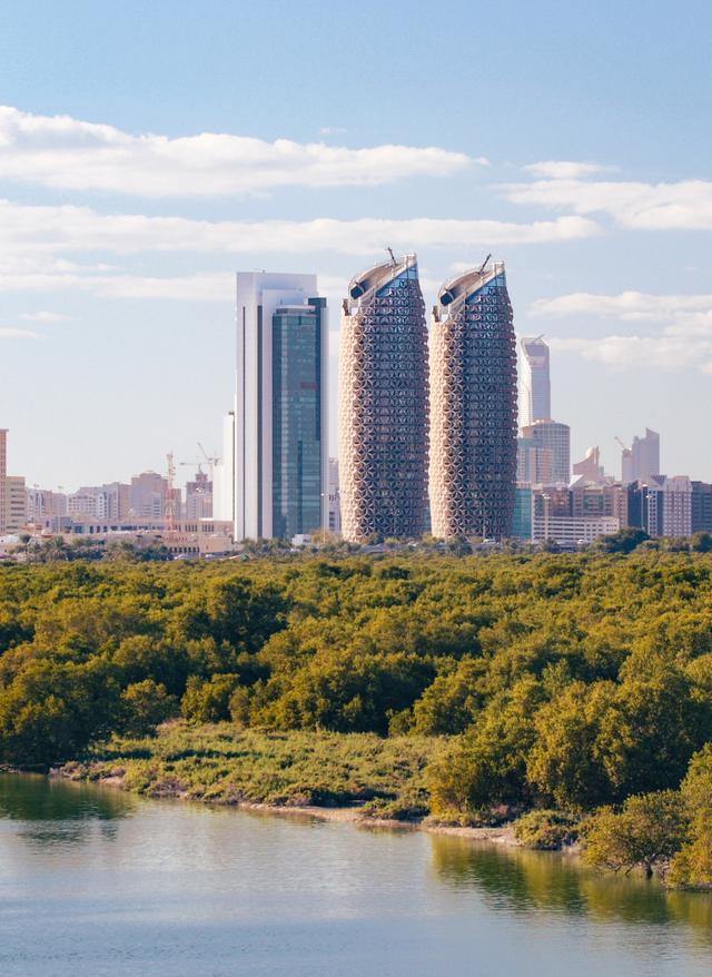 Mangroven Abu Dhabi