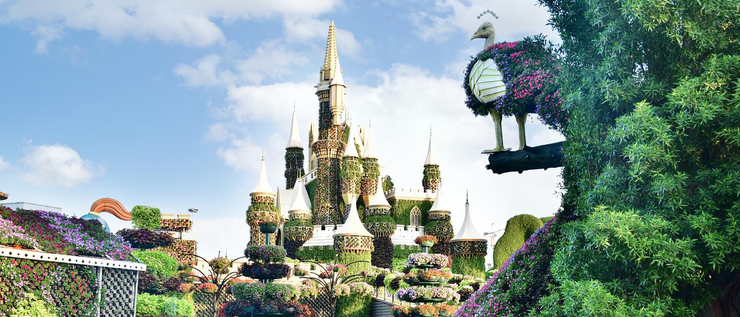 blt2aea8d85aef440ea-vae-dubai-dubai-miracle-garden-blumenschloss-f-DSC-7015.jpeg vae-dubai-dubai-miracle-garden-blumenschloss-f-DSC-7015.jpeg