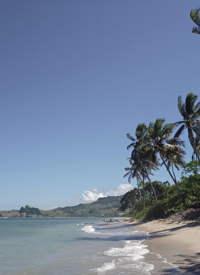 karibik-dominikanische-republik-puerto-plata-strand-palmen-g-482596655.jpg