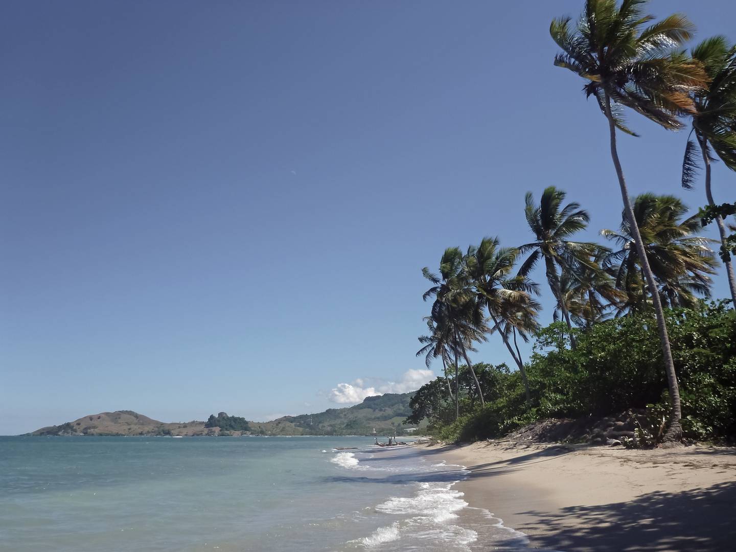 blt2c470eb11515d701-karibik-dominikanische-republik-puerto-plata-strand-palmen-g-482596655.jpg karibik-dominikanische-republik-puerto-plata-strand-palmen-g-482596655.jpg
