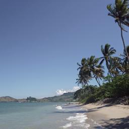 karibik-dominikanische-republik-puerto-plata-strand-palmen-g-482596655.jpg