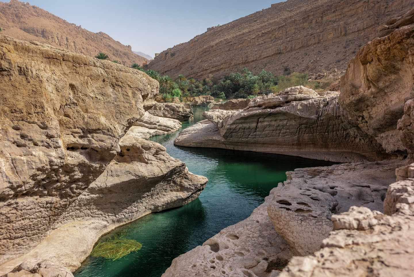 bltebf22e99df610518-Oman-Wadi-Bani-Khalid-Oase-g-972098462.jpg Wadi Bani Khalid Oase