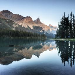 Kanada-Alberta-Jasper-National-Park-g-485371557.jpg