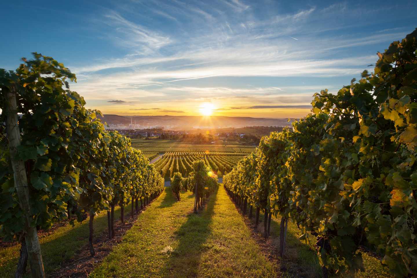 deutschland-weinregionen-weinberg-g-.jpg
