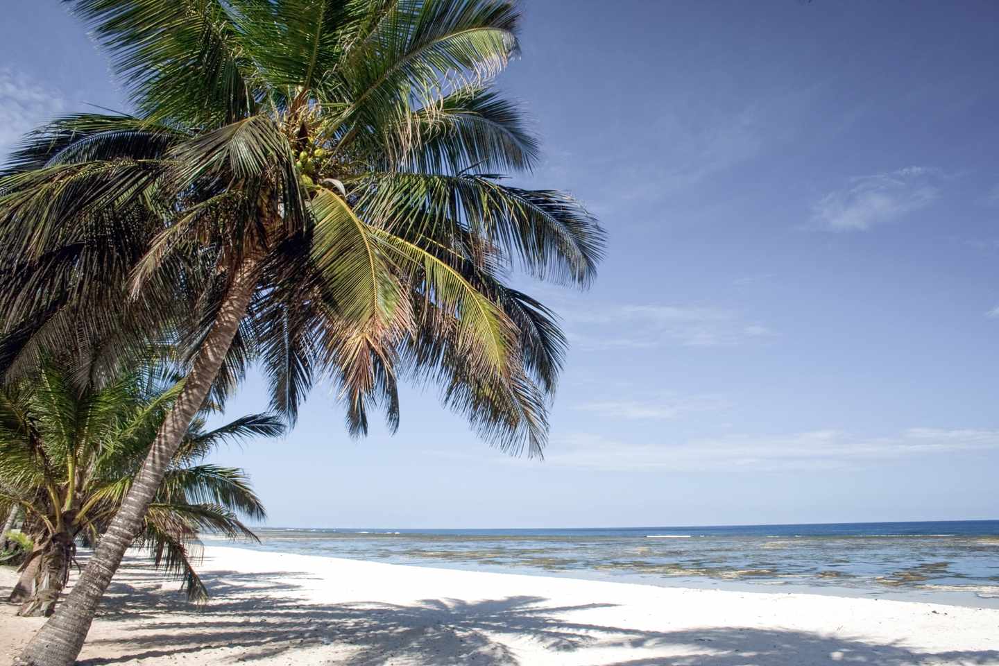 kenia-mombasa-strand-palmen-watt-g-182359547.jpg