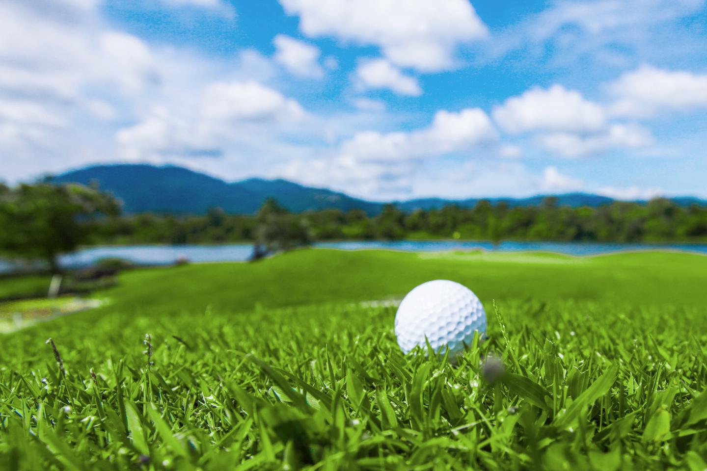 golfhotel-niedersachsen-g-885935380.jpg