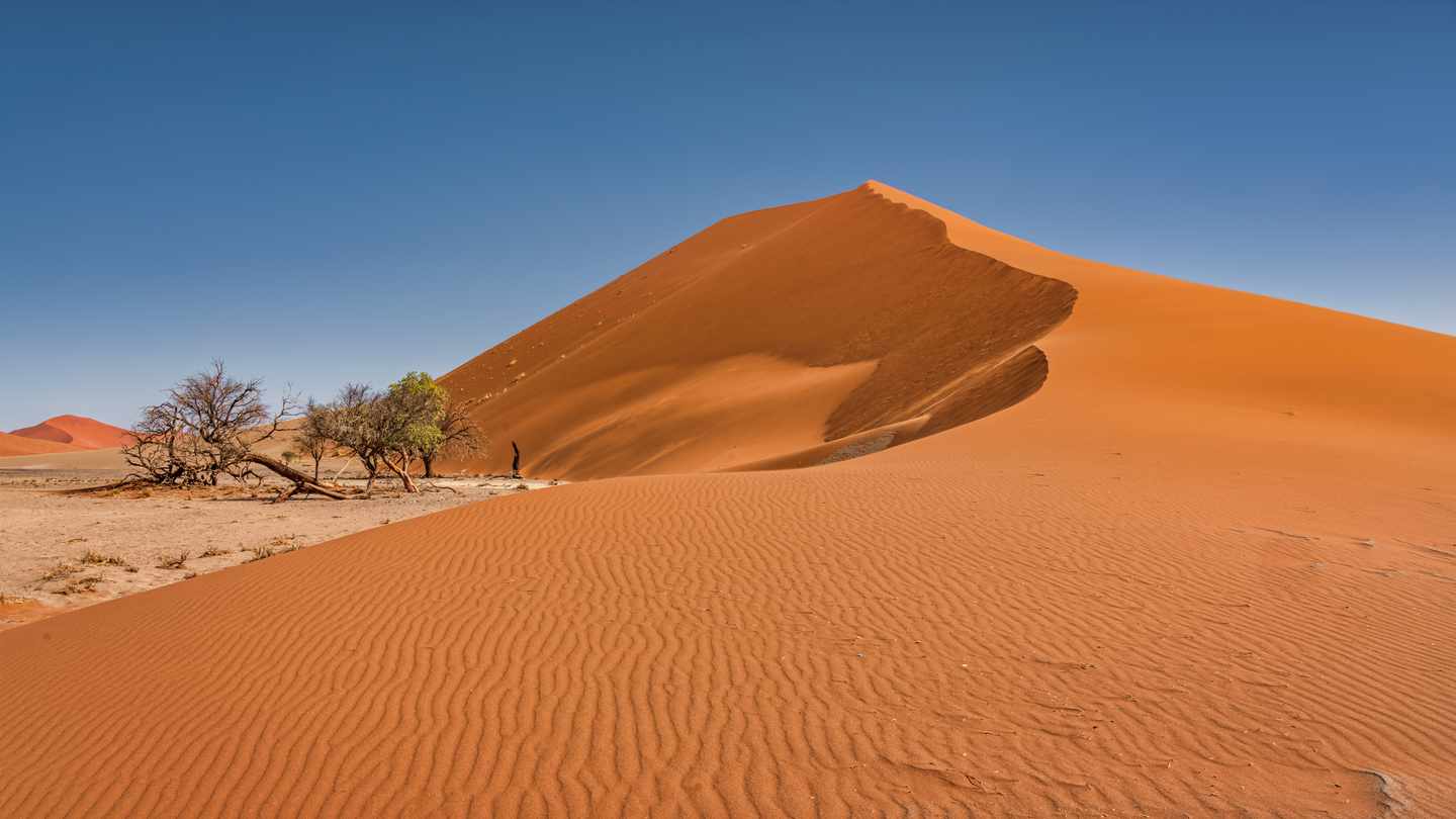 blt1d498ea5da44a954-afrika-namibia-sandduene-g-1318245593.jpg Afrikas Sehenswürdigkeiten: Sanddünen in Namibia