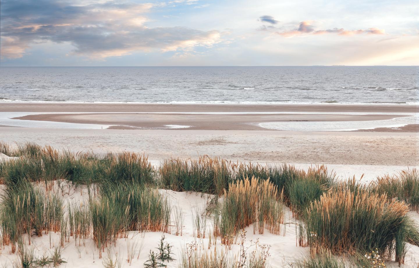 bltab7f60351c010cd5-deutschland-nordsee-dunen-g-1416933622.jpg deutschland-nordsee-dunen-g-1416933622.jpg