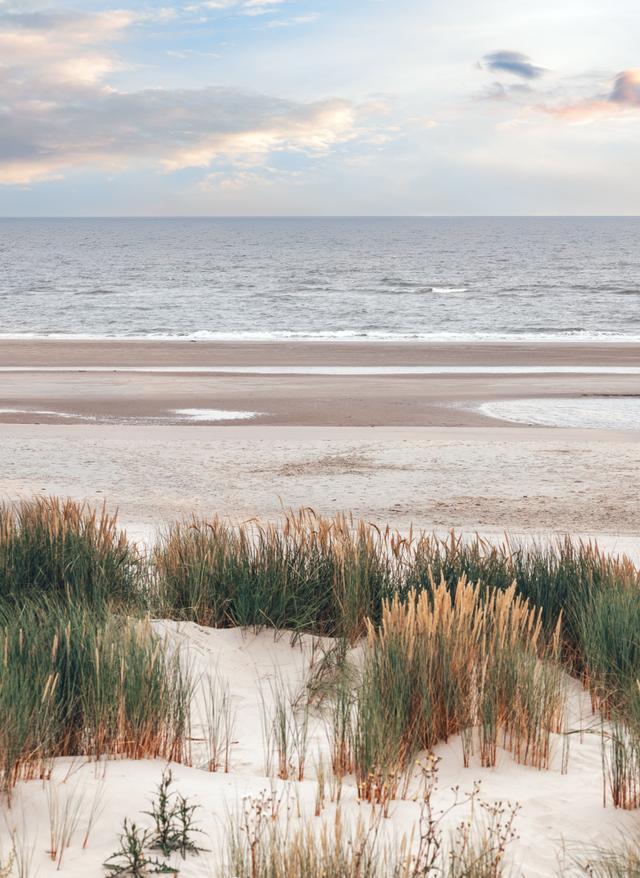Wattenmeer Nordsee deutschland-nordsee-dunen-g-1416933622.jpg