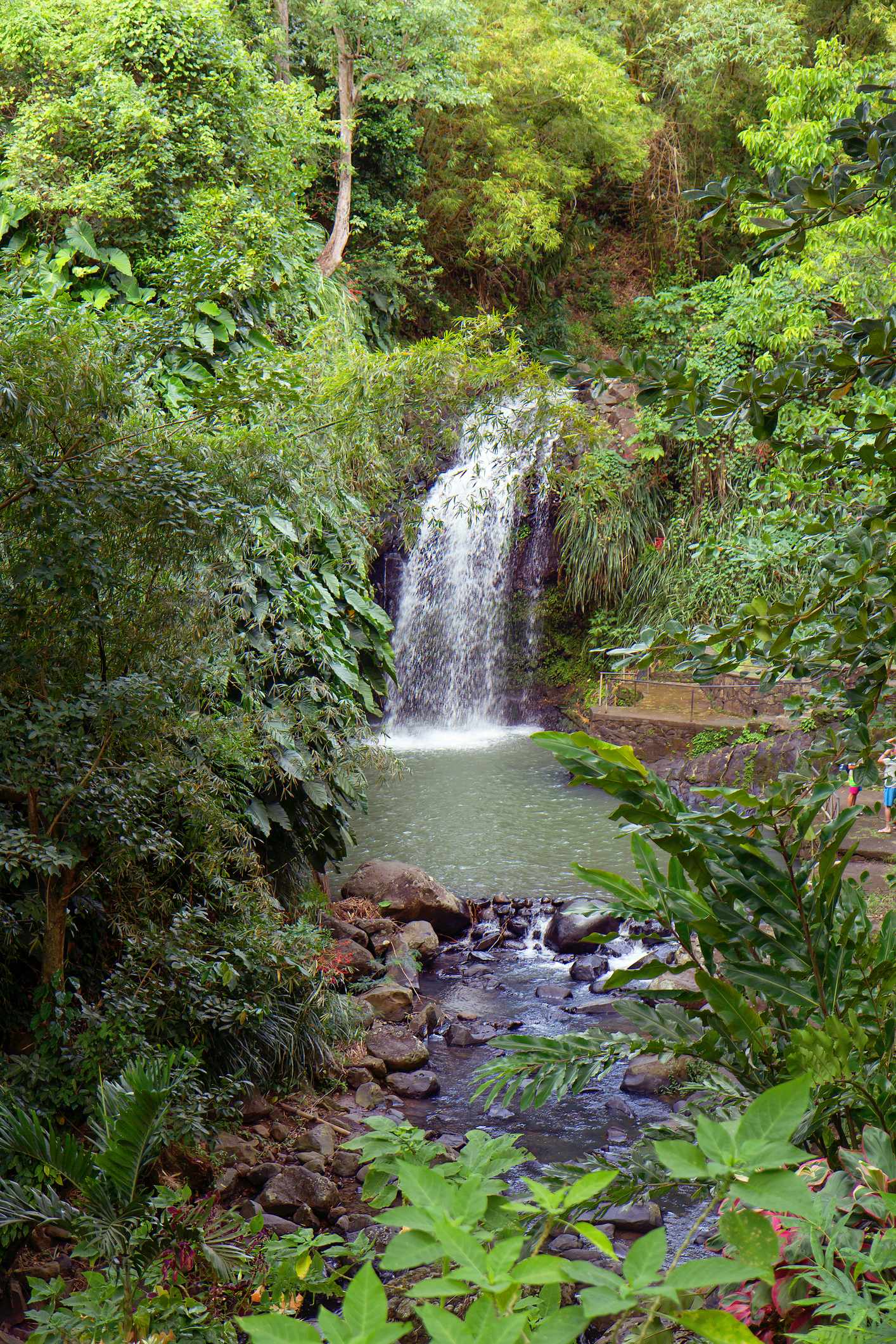blt02d2e9ee42b72aa0-grenada-wasserfall-im-gruenen-g-666265366.jpg Wasserfall auf Grenada