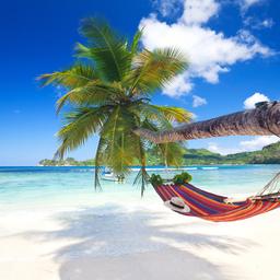 Pauschalreisen Seychellen
