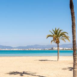 spanien-mallorca-el-arenal-strand-und-meer-g-1370674330.jpg