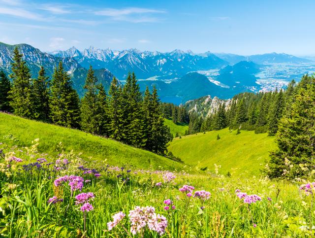 Hotel im Allgäu buchen Tegelberg im Allgäu, Bayern