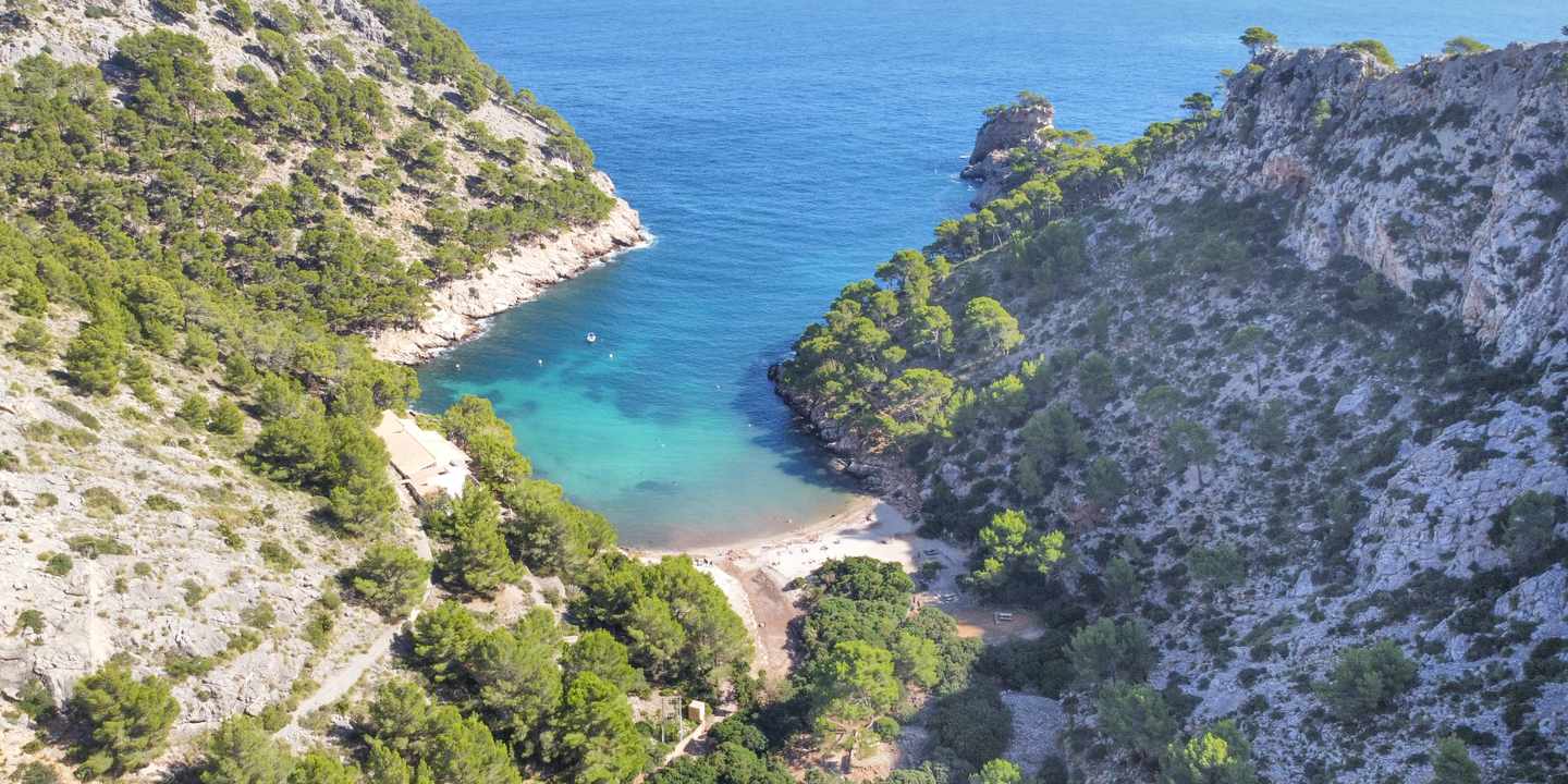 spanien-balearen-mallorca-cala-murta-bucht-formentor-luftaufnahme-felsen-pinien-geheime-buchten-g-2225980653.jpg