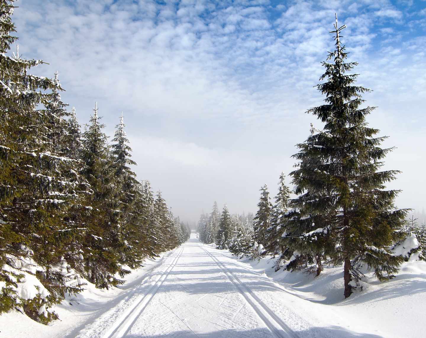 sporthotel-harrachov-g-536109583.jpg