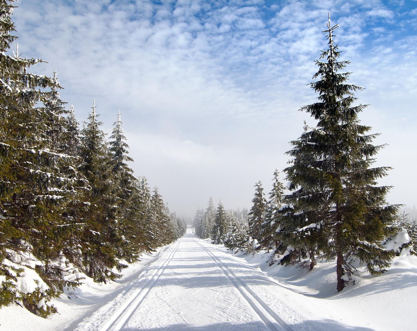 sporthotel-harrachov-g-536109583.jpg