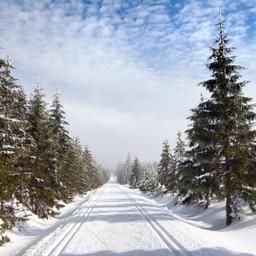Sporthotels in Harrachov