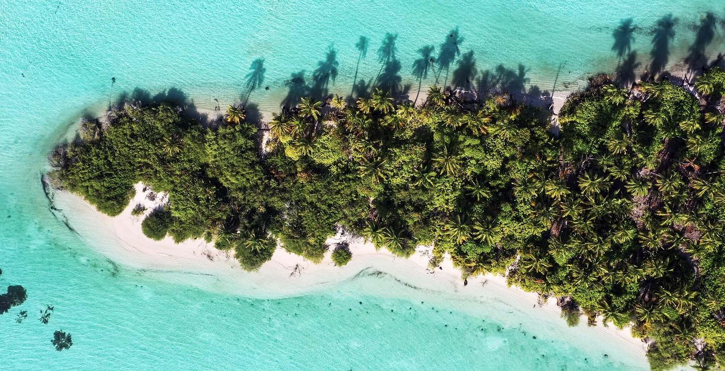 blt70df899b8cdbf1ee-malediven-welches-malesiven-atoll-passt-zu-mir-sandstrand-mit-palmen-von-oben-g-1287300093.jpg malediven-welches-malesiven-atoll-passt-zu-mir-sandstrand-mit-palmen-von-oben-g-1287300093.jpg