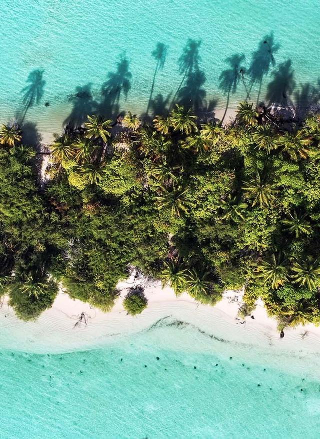 Welches Malediven Atoll passt zu mir malediven-welches-malesiven-atoll-passt-zu-mir-sandstrand-mit-palmen-von-oben-g-1287300093.jpg