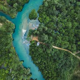 thailand-koh-chang-fluss-regenwald-t-877515544.jpg