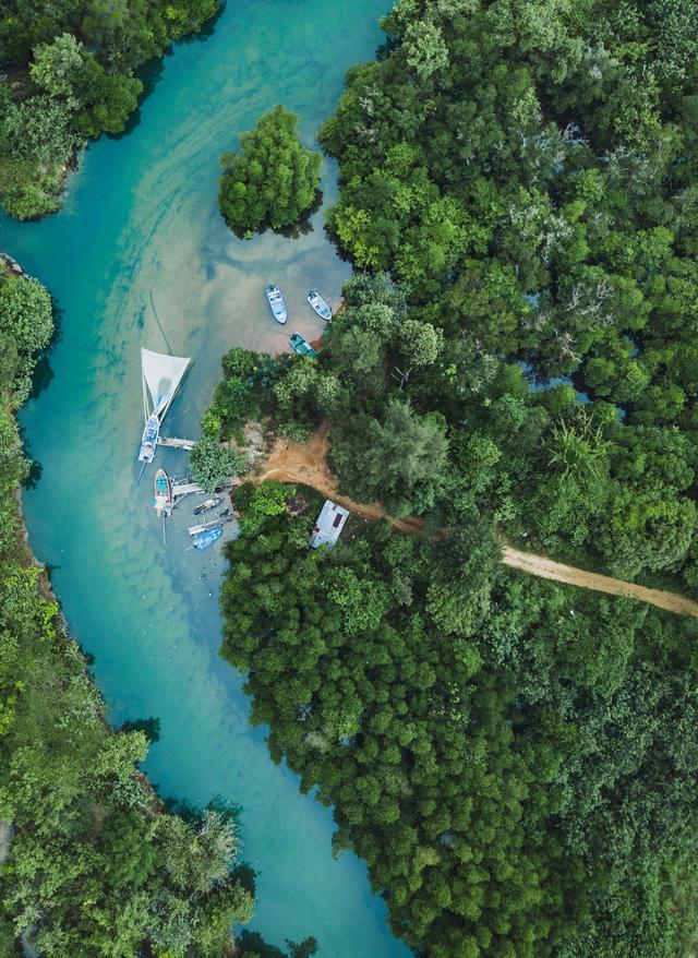 thailand-koh-chang-fluss-regenwald-t-877515544.jpg