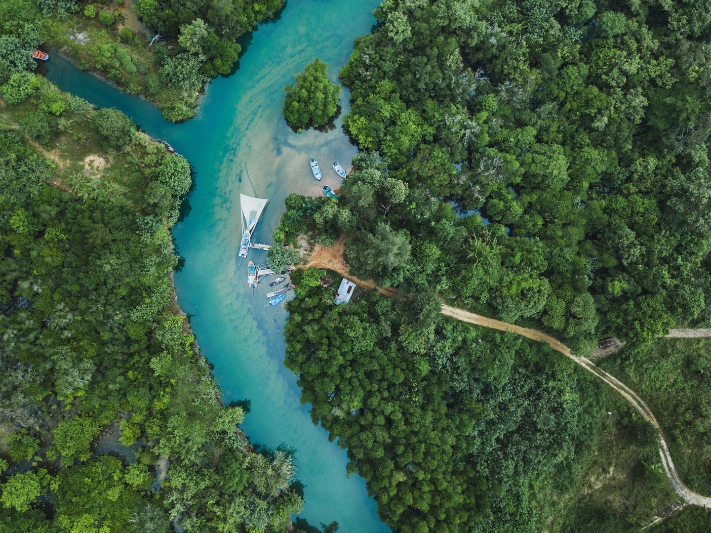 thailand-koh-chang-fluss-regenwald-t-877515544.jpg