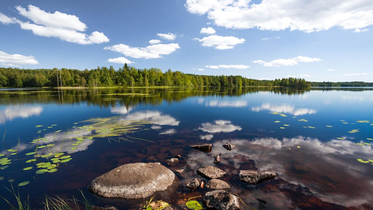 bltd33981f5a2658fe2-finnland-see-t-483586876.jpg Ruhiger See mit Seerosen Felsen und dichtem Nadelwald unter blauem Himmel in der Finnischen Seenplatte