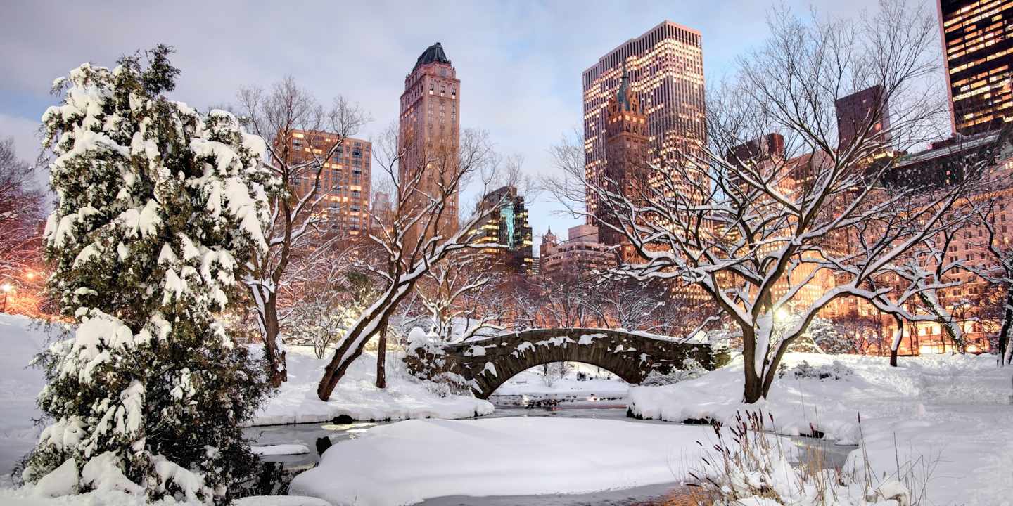 usa-new-york-central-park-im-winter-g-117146675.jpeg