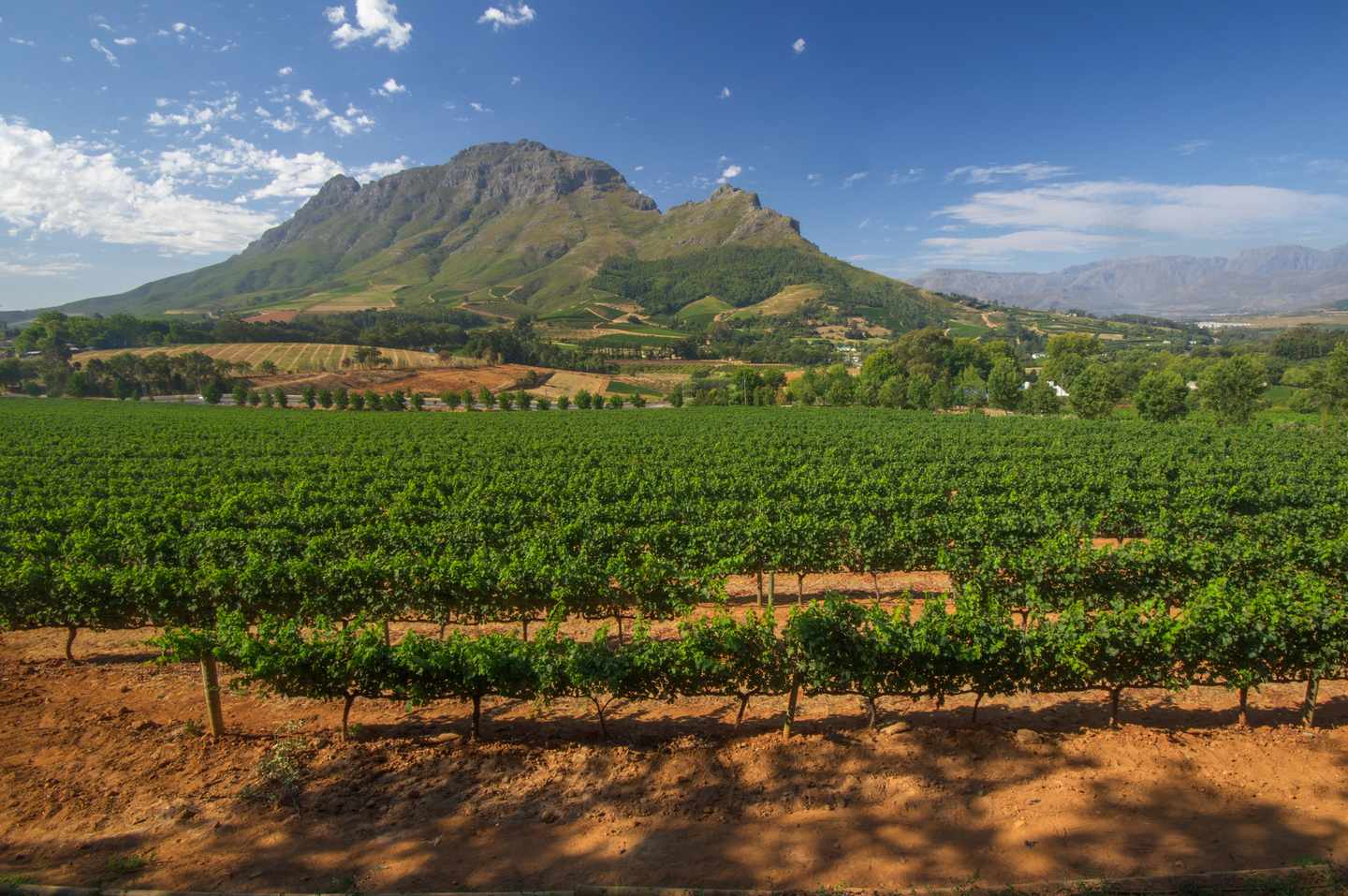 suedafrika-stellenbosch-weingut-t-177835518.jpg