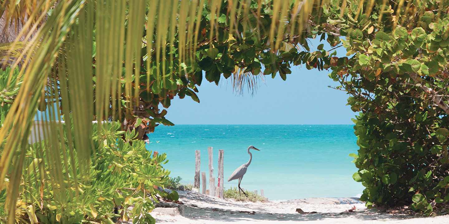nordamerika-mexiko-holbox-strand-g-1004260378.jpg