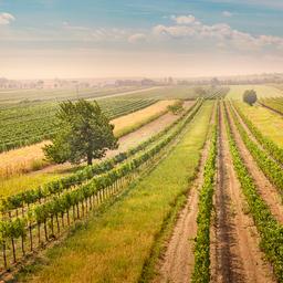 Hotel Burgenland