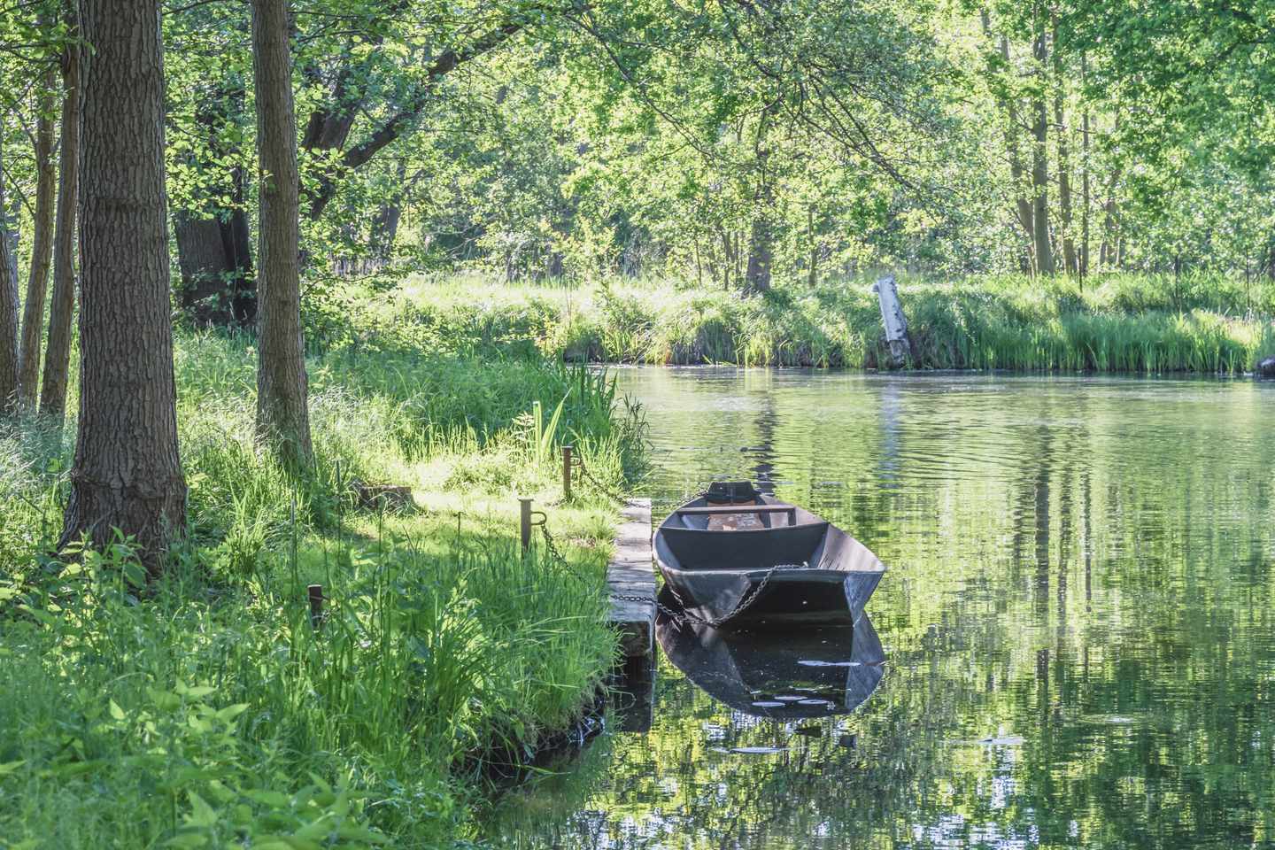 deutschland-brandenburg-spreewald-g-1323869070.jpeg