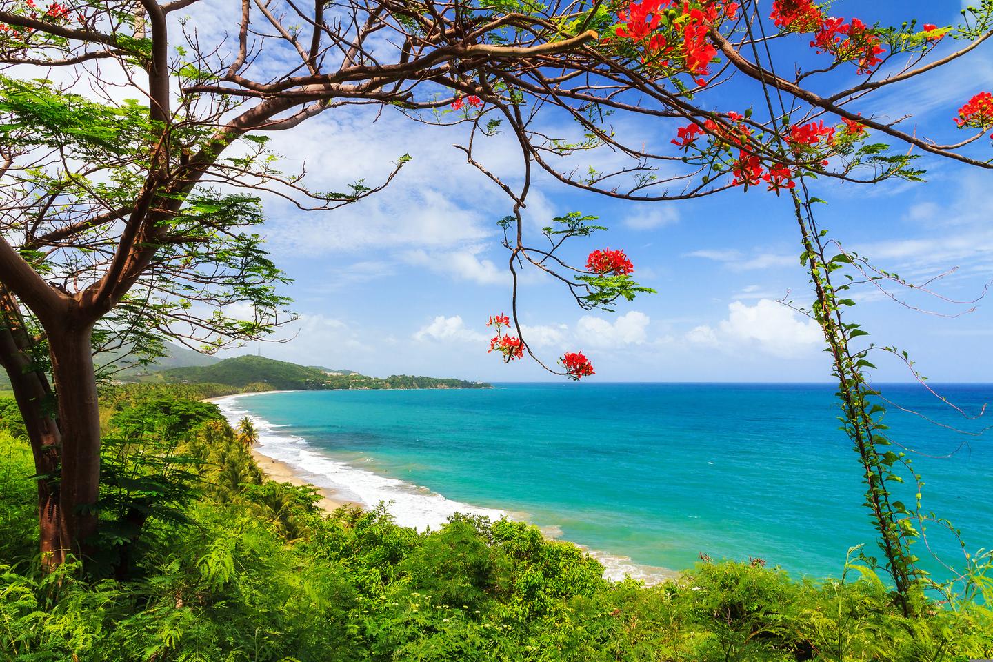 puerto-rico-strand-tropen-t-531705534.jpg