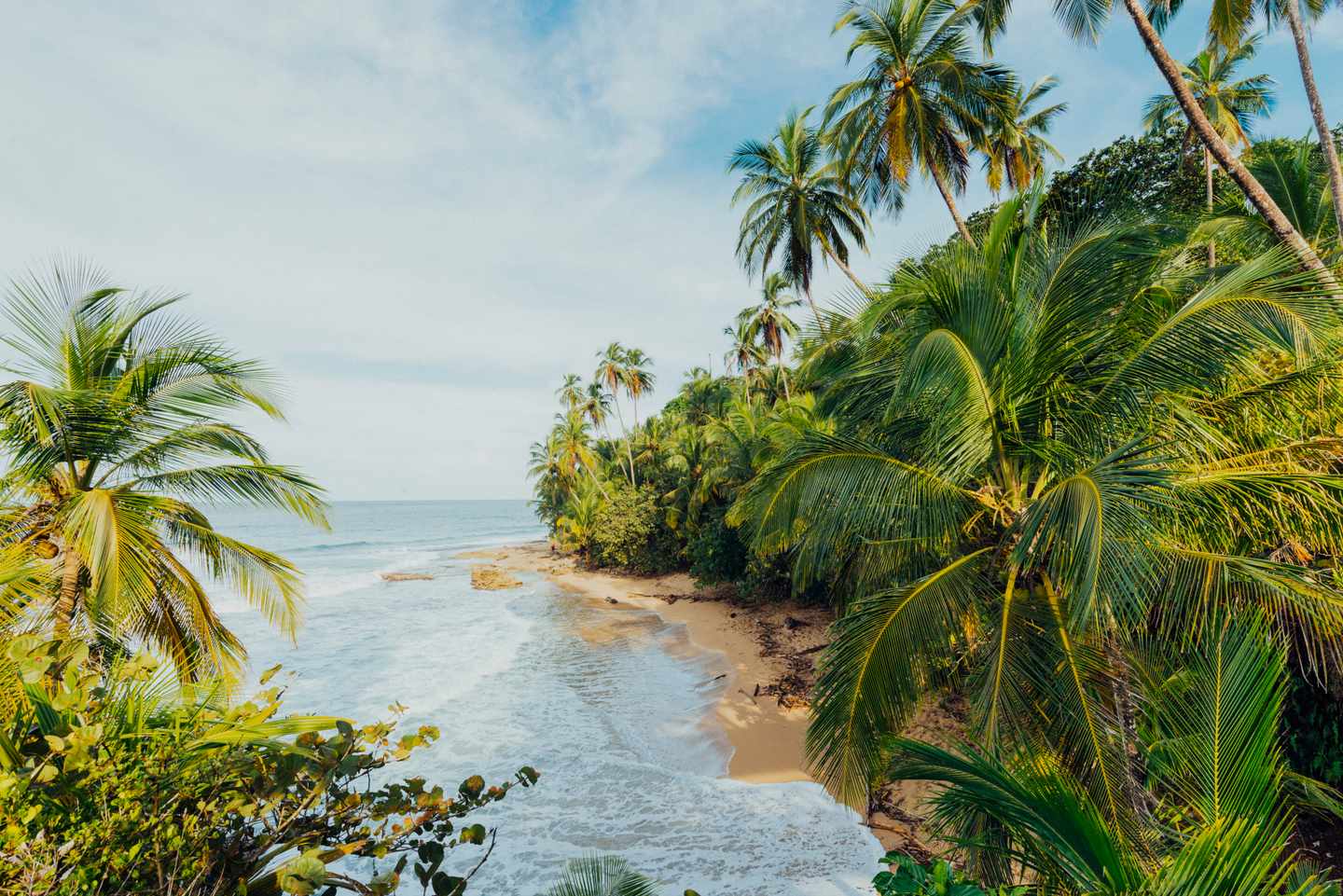 costa-rica-limon-strand-mit-palmen-tropisches-paradies-g-501604642_v2.jpg