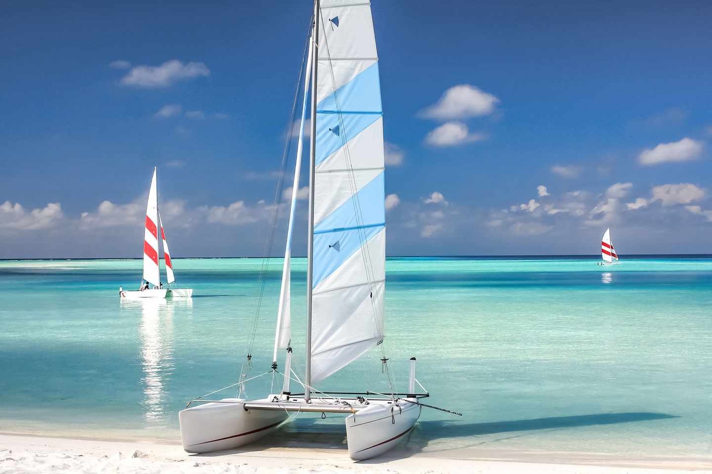 malediven-segeln-und-katamaran-katamaran-am-strand-und-zwei-katamarane-am-horizont-im-tuerkisblauen-meer-g-1315425371.jpg
