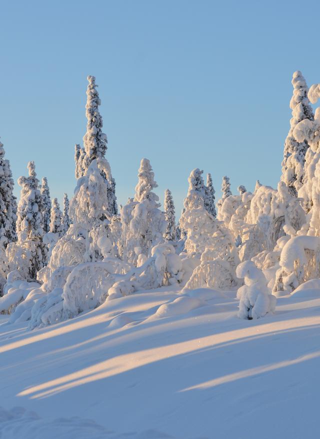 Zu den Angeboten Winterurlaub in den nordischen Ländern