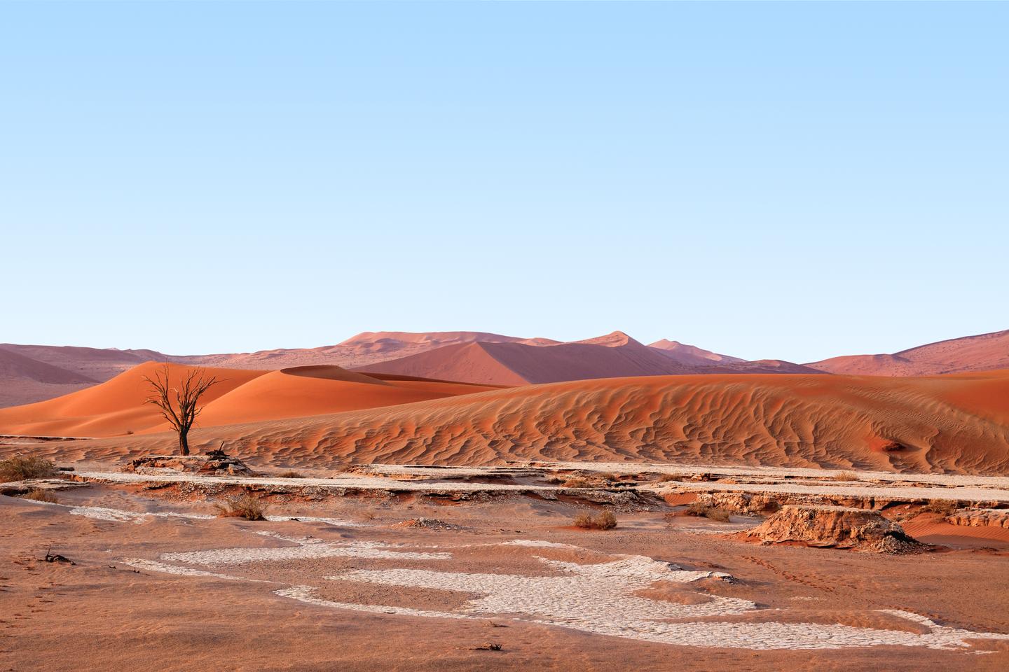 GettyImages-1083309556.jpg Orangefarbene Sanddünen und ein abgestorbener Baum prägen die trockene Landschaft der Namib-Wüste in Namibia
